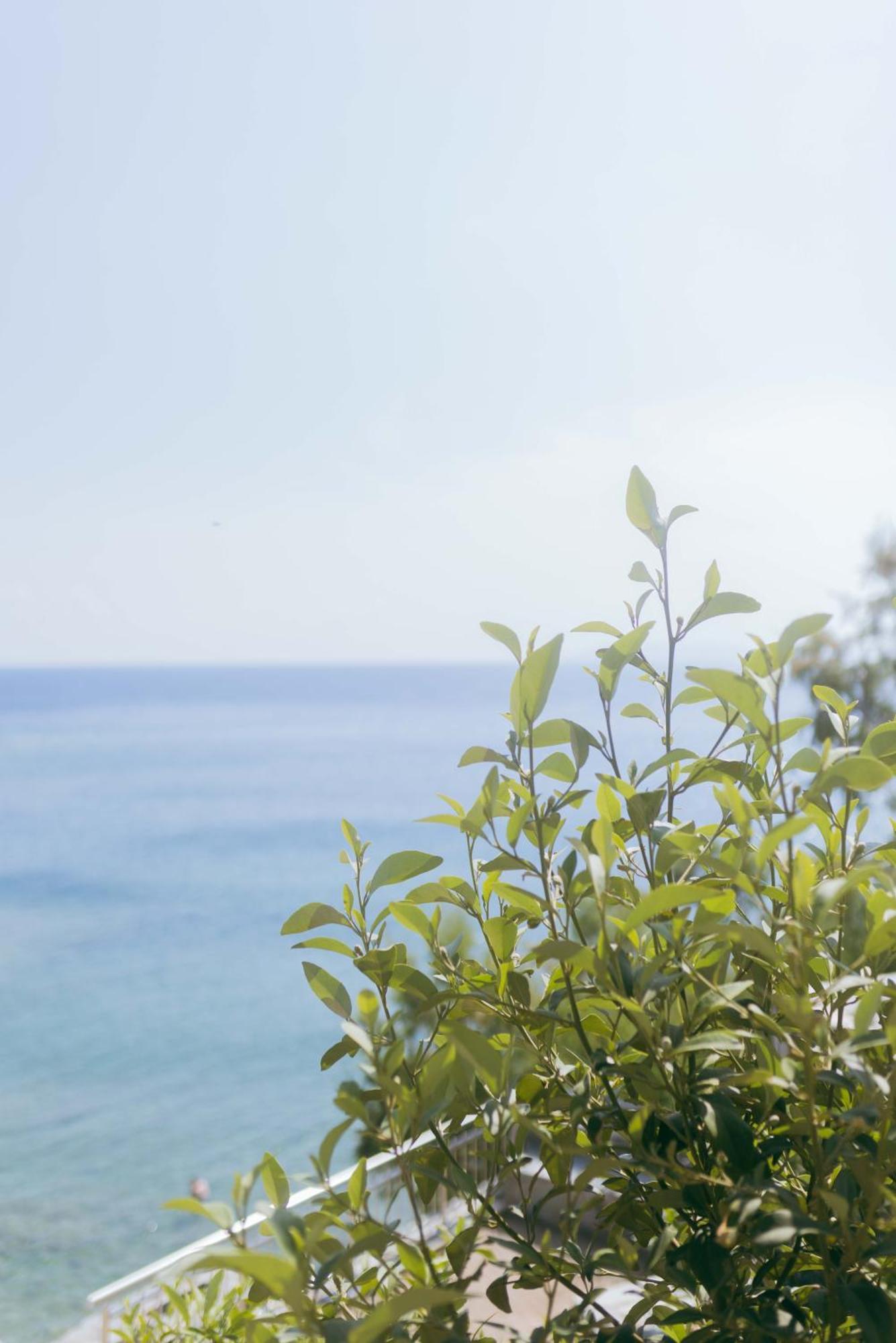 Peninsula Resort & Spa Αγία Πελαγία  Εξωτερικό φωτογραφία